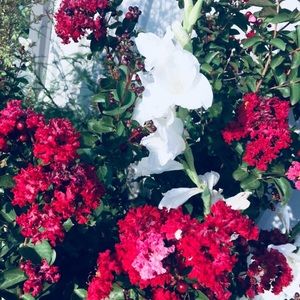 Meet your Posher, Liv